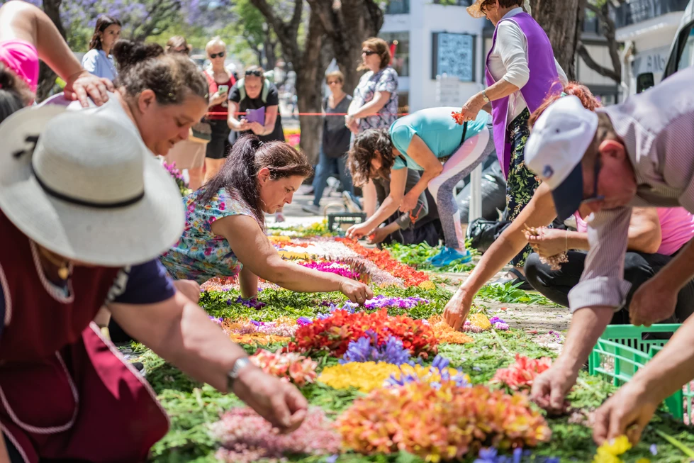 Fiesta de la Flor de Madeira / Francisco Correia