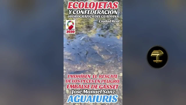 Miserables ecologistas de pacotilla