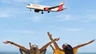 Viajar con amigos o en familia tiene premio en Iberia Express