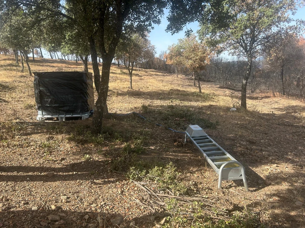 55.000 kilos de alimento y 50.000 litros de agua para la fauna silvestre afectada por el gran incendio de la Sierra Oeste