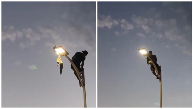 Joven arriesga su vida para rescatar una gaviota atrapada