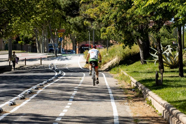 Zaragoza renueva la señalización y la pintura de 30 tramos de carriles bici