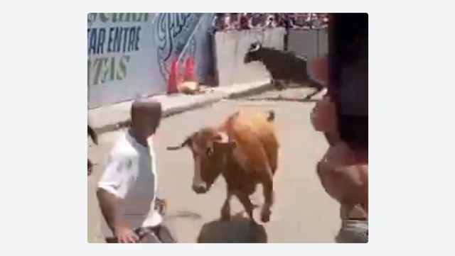 Corneado durante un encierro de toros en Perú