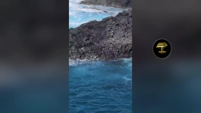 La Gomera. Desconocemos si fueron rescatados
