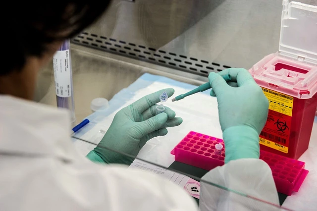 Identifican un nuevo caso sospechoso de hantavirus en un ciudadano británico