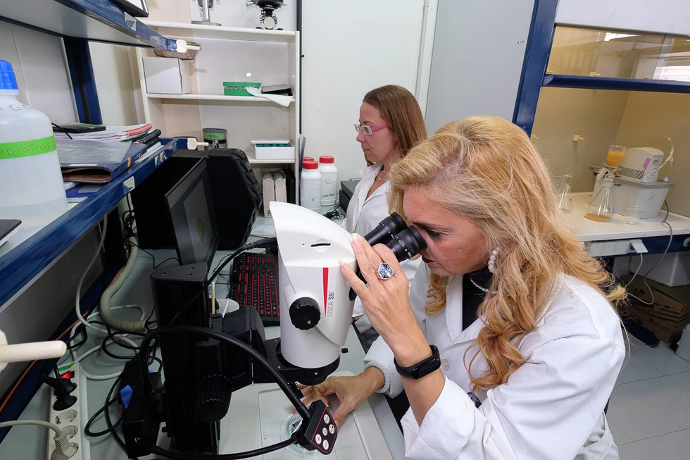 Investigadores de ECOAQUA muestran sus avances científicos en el X ISMS 2026
