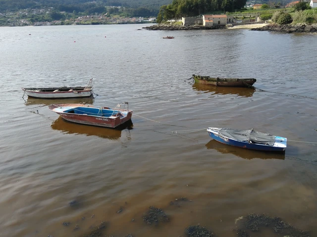 Una nueva guía internacional refuerza el control de las toxinas marinas
