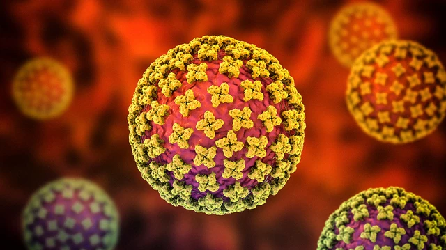 Lo que hay que saber sobre el hantavirus