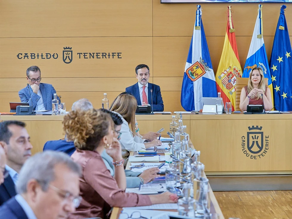Pleno del Cabildo de Tenerife