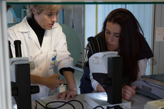El Máster Internacional en Cultivos Marinos contará con 25 alumnos de varias universidades