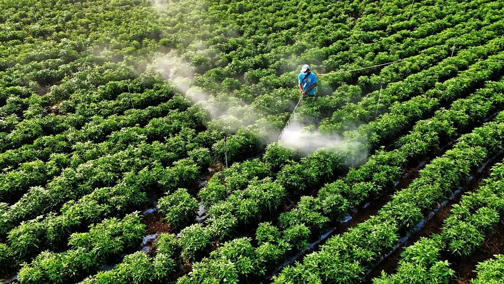 La guerra en Irán amenaza con una crisis alimentaria mundial