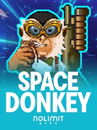 Space Donkey