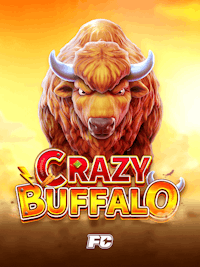 CRAZY BUFFALO
