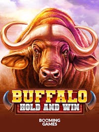 Buffalo Hold and Win