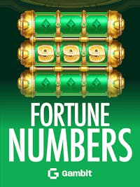 Fortune Numbers