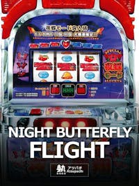 NIGHT BUTTERFLY FLIGHT