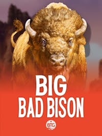 Big Bad Bison