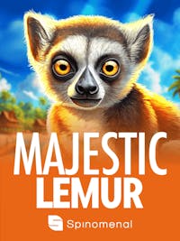 Majestic Lemur