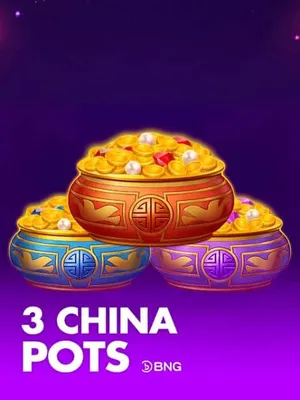 3 China Pots