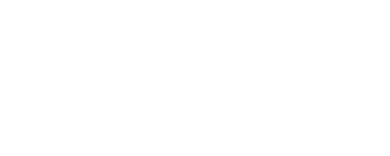 Bullshark