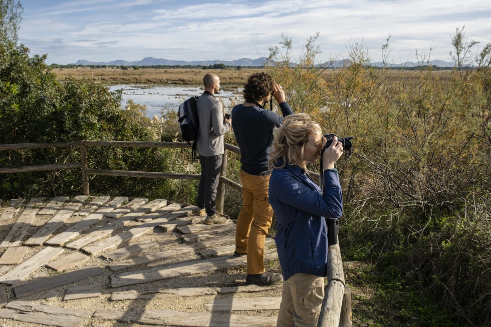 Mallorca, magia natural los 365 días del año