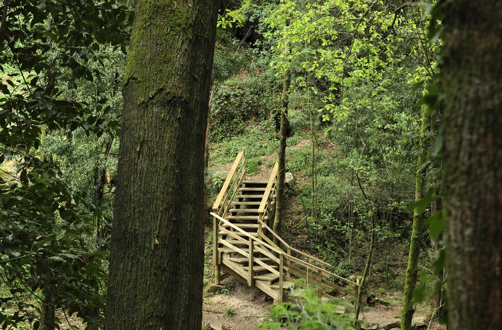 Arbo, un destino único de naturaleza, historia, patrimonio, gastronomía y aventura