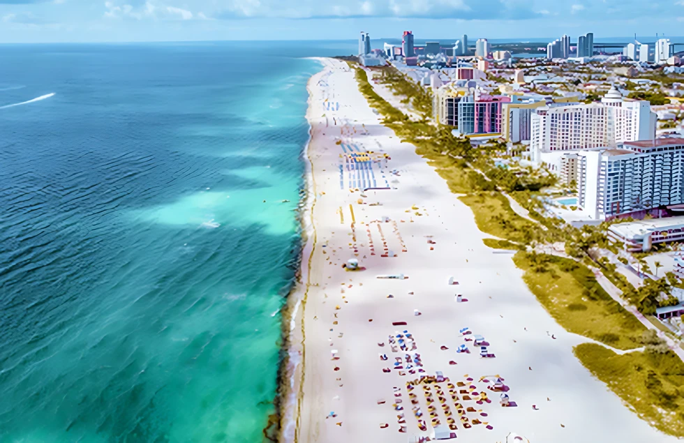 Miami Beach: un paraíso para tu familia y tus mascotas