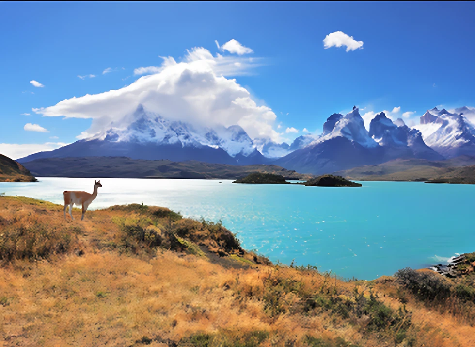 Primavera en la Patagonia chilena: un road trip de naturaleza salvaje, colores y libertad