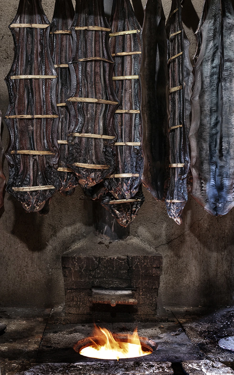 ANDAINA GASTRONÓMICA EN ARBO, PARA DESCUBRIR LA LAMPREA Y EL VINO LOCAL