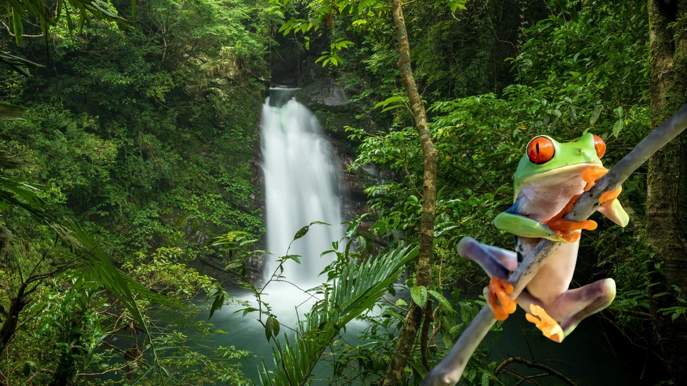 Descubre los 10 destinos imprescindibles de Costa Rica para planear tu aventura