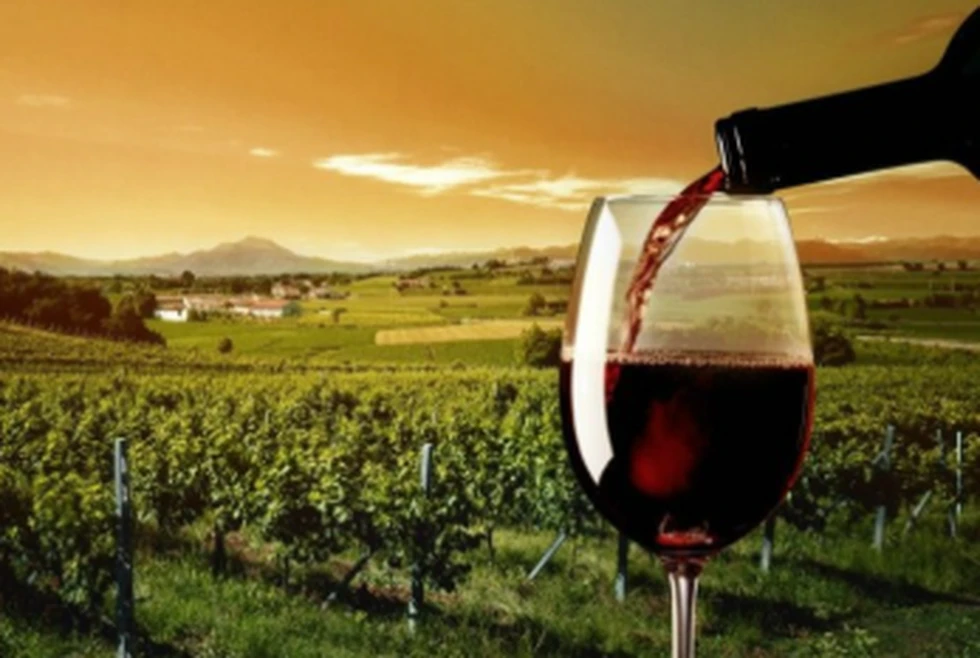 Descubre la tradición de la vendimia en un viaje a medida para toda la familia