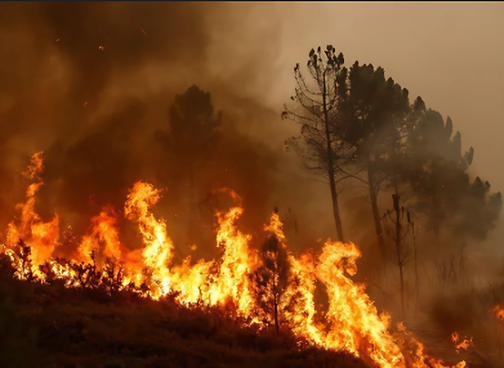 Caída de la demanda turística en España por los incendios