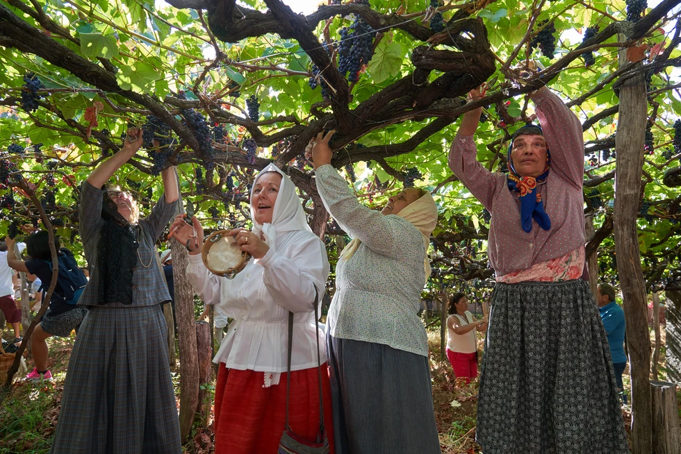 Vino, música y tradición: llega la Fiesta del Vino de Madeira 2025